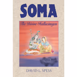 ISBN Soma, Anglais, Couverture rigide, 208 pages
