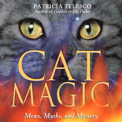 ISBN Cat Magic, Anglais, Livre de poche, 176 pages