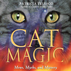 ISBN Cat Magic Livre de poche