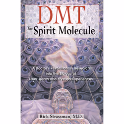 ISBN DMT: The Spirit Molecule, Anglais, Livre de poche, 384 pages