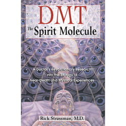 ISBN DMT: The Spirit Molecule Livre de poche