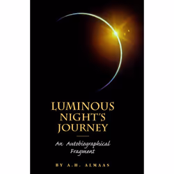 ISBN Luminous Night’s Journey, Livre broché, 160 pages