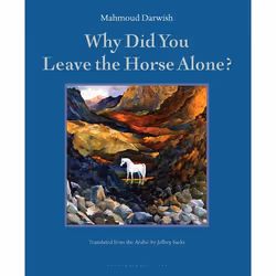 ISBN Why Did You Leave the Horse Alone?, classiques, Anglais, Livre broché, 197 pages