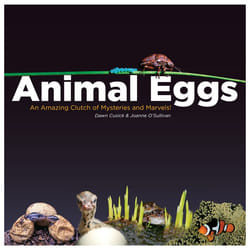 ISBN Animal Eggs Couverture rigide