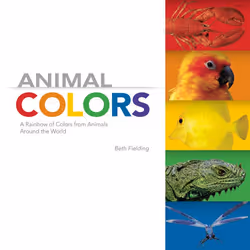 ISBN Animal Colors, Anglais, Livre broché, 32 pages