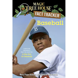 ISBN Baseball