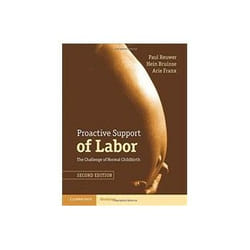 Proactive Support Of Labor (Paperback)