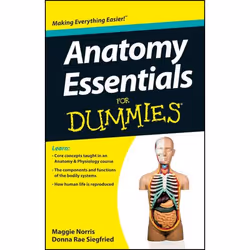 ISBN Anatomy Essentials For Dummies, Anglais, Livre broché, 192 pages