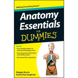 ISBN Anatomy Essentials For Dummies livre Anglais Livre broché 192 pages