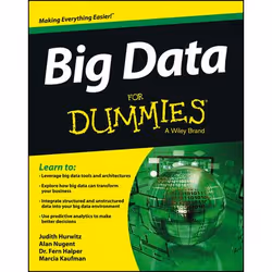 ISBN Big Data For Dummies, Anglais, Livre broché, 336 pages