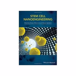 ISBN Stem Cell Nanoengineering, Biologie, Anglais, Couverture rigide, 432 pages