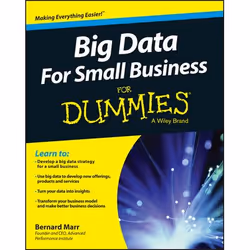 ISBN Big Data For Small Business For Dummies, Anglais, Livre broché, 256 pages