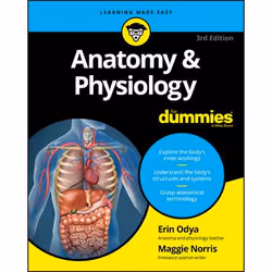 ISBN Anatomy and Physiology For Dummies, 3rd Edition, Anglais, Livre broché, 384 pages