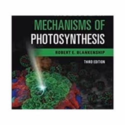 ISBN Molecular Mechanisms of Photosynthesis 3e, Science & nature, Anglais, Livre broché, 352 pages