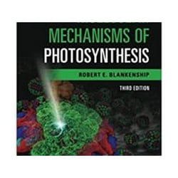 ISBN Molecular Mechanisms of Photosynthesis 3e livre Science & nature Anglais