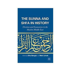 ISBN Sunna and Shi'a in History livre politique Anglais