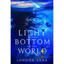 ISBN The Light at the Bottom of the World livre enfants & adolescents Anglais Couverture rigide