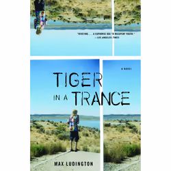 ISBN Tiger in a Trance, Anglais, Livre broché, 400 pages