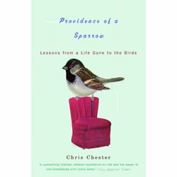 ISBN Providence of a Sparrow, biographie, Anglais, Livre broché, 304 pages