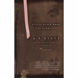ISBN Little Black Book of Stories, Anglais, Livre broché, 256 pages