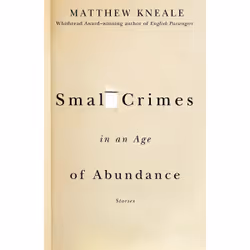 ISBN Small Crimes in an Age of Abundance, Anglais, Livre broché, 224 pages