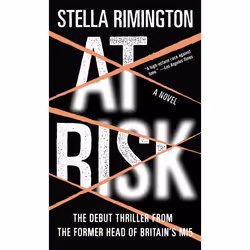 ISBN At Risk, Mystère et suspense, Anglais, Édition de poche, 416 pages