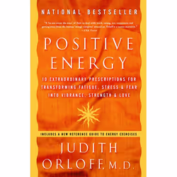 ISBN Positive Energy, Livre broché, 384 pages