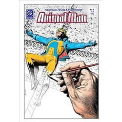 ISBN Animal Man by Grant Morrison Book One 30th Anniversary: Deluxe Edition livre comédies & nouvelles graphiques Anglais Couverture rigide