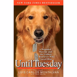 ISBN Until Tuesday, biographie, Anglais, Livre broché, 288 pages
