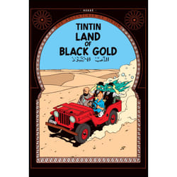 The adventures of Tintin Tome 15