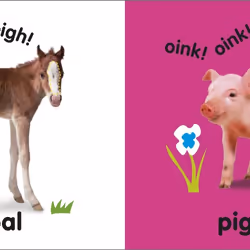 ISBN Baby Touch and Feel Baby Animals livre enfants & adolescents Anglais Couverture rigide