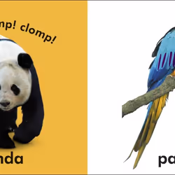 ISBN Baby Touch and Feel Wild Animals livre enfants & adolescents Anglais Couverture rigide