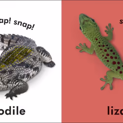 ISBN Baby Touch and Feel Wild Animals livre enfants & adolescents Anglais Couverture rigide