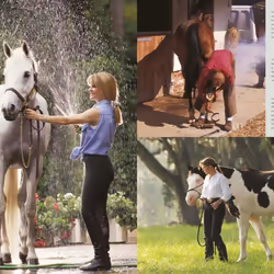 ISBN Complete Horse Care Manual livre Education Anglais Couverture rigide
