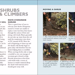 ISBN RHS Gardening Month by Month livre maison & jardin Anglais