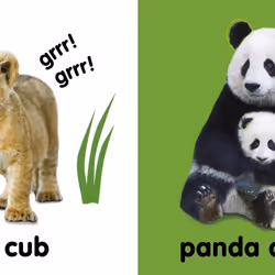 ISBN Baby Touch and Feel Cuddly Animals livre enfants & adolescents Anglais Couverture rigide