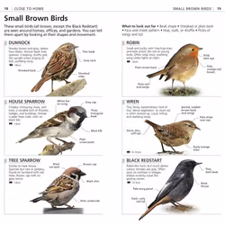 ISBN RSPB What's that Bird? livre Science & nature Anglais