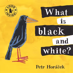 ISBN What Is Black and White?, 16 pages