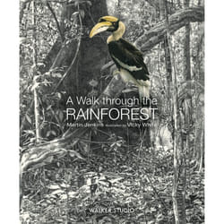 ISBN A Walk Through the Rainforest livre Couverture rigide