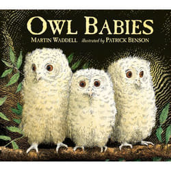 ISBN Owl Babies: Board Book livre