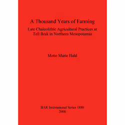 ISBN 9781407303604, Anglais, 191 pages