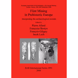 ISBN 9781407303710, Anglais, 171 pages