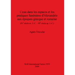 ISBN 9781407304021 livre Anglais, Français 233 pages