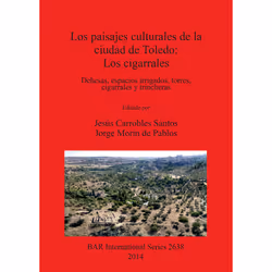 ISBN 9781407312750, Espagnol, 414 pages