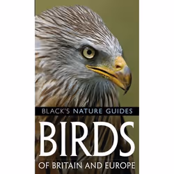 ISBN Birds of Britain and Europe, Science & nature, Anglais, Livre broché, 256 pages