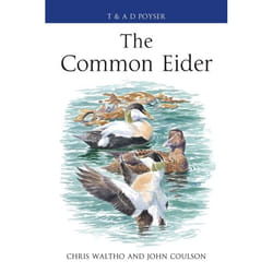 ISBN The Common Eider livre Anglais Couverture rigide 352 pages