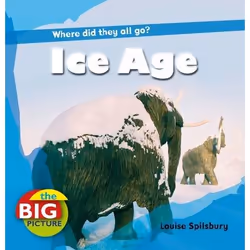 ISBN Ice Age, Anglais, Livre broché, 24 pages