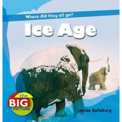 ISBN Ice Age