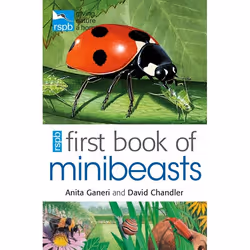 ISBN RSPB First Book Of Minibeasts, Anglais, Livre broché, 48 pages