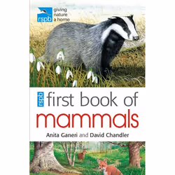 ISBN RSPB First Book Of Mammals, Anglais, Livre broché, 48 pages